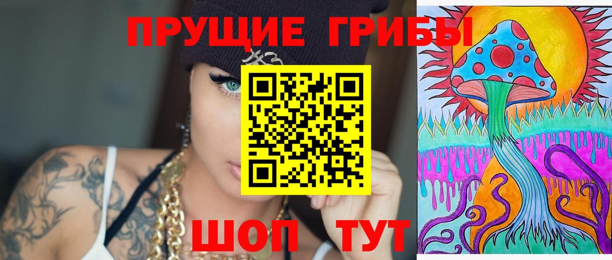 Старая Купавна  закладки  Псилоцибиновые грибы ЛСД  Вход с VPN  Псилоцибиновые грибы прущие грибы 